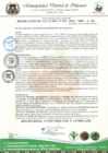 Vista preliminar de documento RESOLUCION DE ALCALDIA N°  153-2023-MDI-A-SG