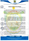 Vista preliminar de documento rgm589