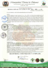 Vista preliminar de documento RESOLUCION DE ALCALDIA N°  155-2023-MDI-A-SG