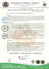 Vista preliminar de documento RESOLUCION DE ALCALDIA N°  160-2023-MDI-A-SG