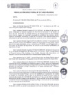 Vista preliminar de documento rd217-2023