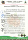 Vista preliminar de documento RESOLUCION DE ALCALDIA N°  177-2023-MDI-A-SG
