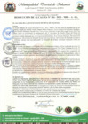 Vista preliminar de documento RESOLUCION DE ALCALDIA N°  184-2023-MDI-A-SG