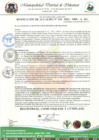 Vista preliminar de documento RESOLUCION DE ALCALDIA N°  194-2023-MDI-A-SG