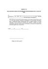 Vista preliminar de documento 2. FORMATOS Y DECLARACIONES