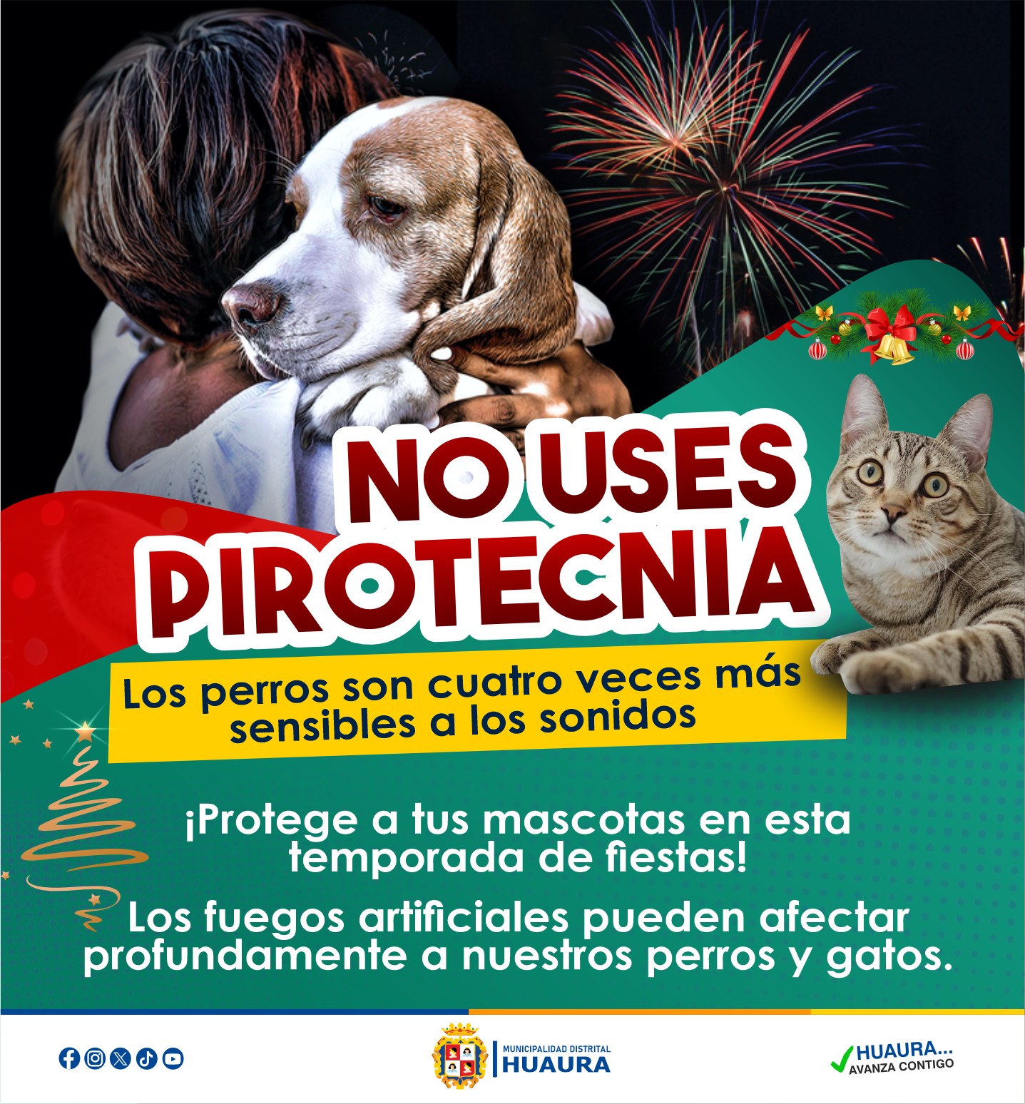 NO USES PIROTECNIA, CUIDEMOS A LAS MASCOTAS