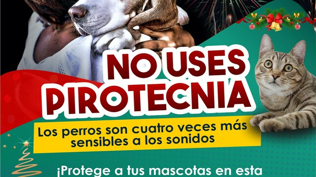 NO USES PIROTECNIA, CUIDEMOS A LAS MASCOTAS