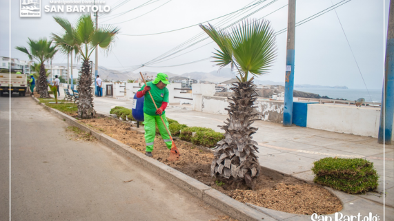 ¡Continuamos trabajando para embellecer nuestro Distrito!