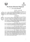 Vista preliminar de documento RDR Nº 3916-2023-GRSM-DRE
