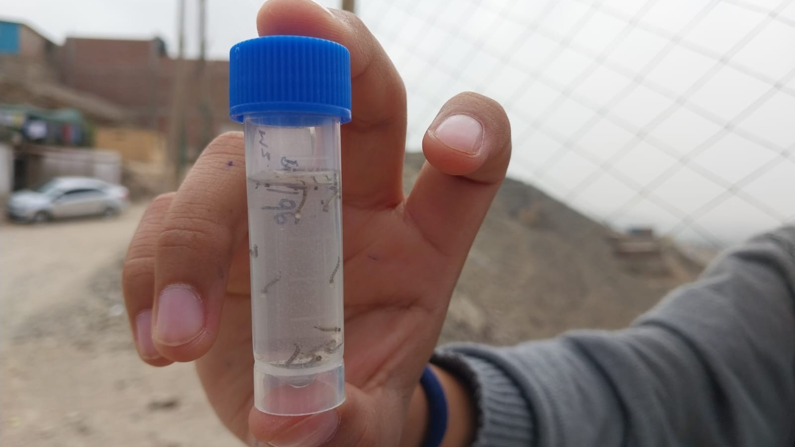 Acciones de Vigilancia frente al Dengue en Lima Norte - 4