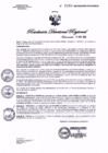 Vista preliminar de documento R.D.R.N°1090-2023-GOB-REG-HVCA-DIRESA