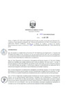 Vista preliminar de documento RD_0135_2019-MINEM_DGAAE