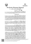 Vista preliminar de documento RDR Nº 3935-2023-GRSM-DRE