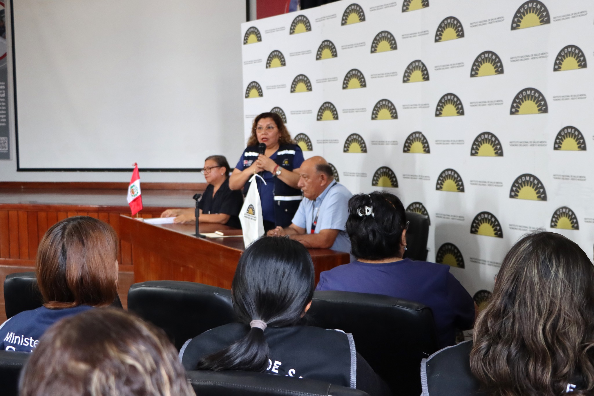 Archivo JPG de capacitacion DIRIS LIMA NORTE