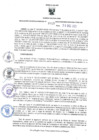 Vista preliminar de documento RES-1015