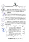 Vista preliminar de documento RES-1019