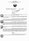 Vista preliminar de documento RJ 1028-2023