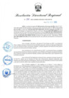 Vista preliminar de documento RDR-916-2023