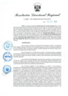 Vista preliminar de documento RDR-919-2023