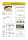 Vista preliminar de documento Boletín de abastecimiento y precio del ARROZ - 19/12/23