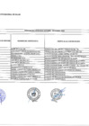 Vista preliminar de documento Penalidades IV Trimestre - 2019