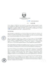 Vista preliminar de documento ResDirec-0187-2019/MINEM-DGAAE