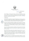 Vista preliminar de documento ResDirec-0008-2020/MINEM-DGAAE