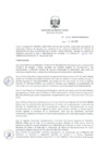 Vista preliminar de documento ResDirec-0047-2020/MINEM-DGAAE
