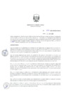 Vista preliminar de documento ResDirec-0072-2020/MINEM-DGAAE