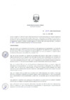 Vista preliminar de documento ResDirec-0079-2020/MINEM-DGAAE