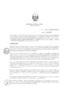 Vista preliminar de documento ResDirec-0077-2020/MINEM-DGAAE
