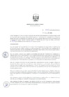 Vista preliminar de documento ResDirec-0075-2020/MINEM-DGAAE