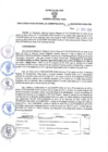 Vista preliminar de documento RORA. 511