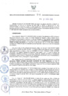 Vista preliminar de documento RORA. 513