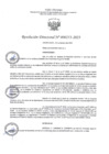 Vista preliminar de documento RD253-2023