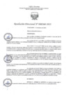 Vista preliminar de documento RD260-2023