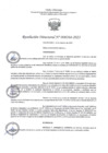 Vista preliminar de documento RD264-2023