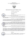 Vista preliminar de documento RD265-2023
