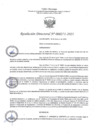 Vista preliminar de documento RD271-2023
