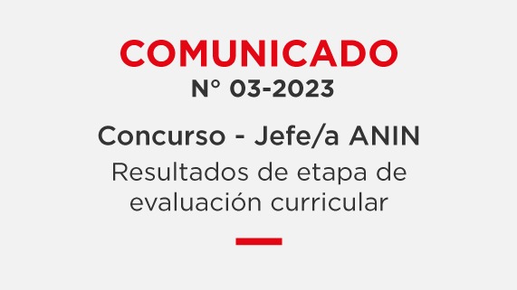 Concurso Jefe/a ANIN