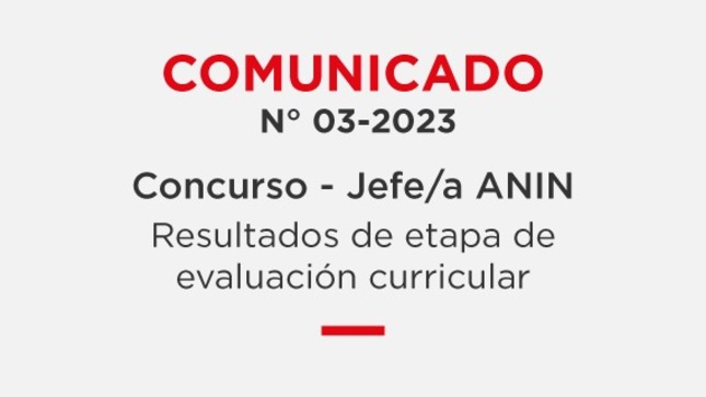Concurso Jefe/a ANIN