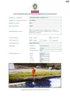 Vista preliminar de documento Plan Ambiental Detallado_5