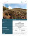 Vista preliminar de documento Plan Ambiental Detallado_6