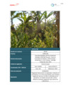 Vista preliminar de documento Plan Ambiental Detallado_9