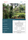 Vista preliminar de documento Plan Ambiental Detallado_7