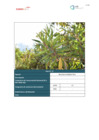 Vista preliminar de documento Plan Ambiental Detallado_12