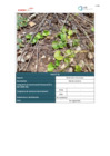 Vista preliminar de documento Plan Ambiental Detallado_10