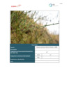 Vista preliminar de documento Plan Ambiental Detallado_13