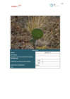 Vista preliminar de documento Plan Ambiental Detallado_14