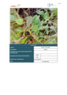 Vista preliminar de documento Plan Ambiental Detallado_11